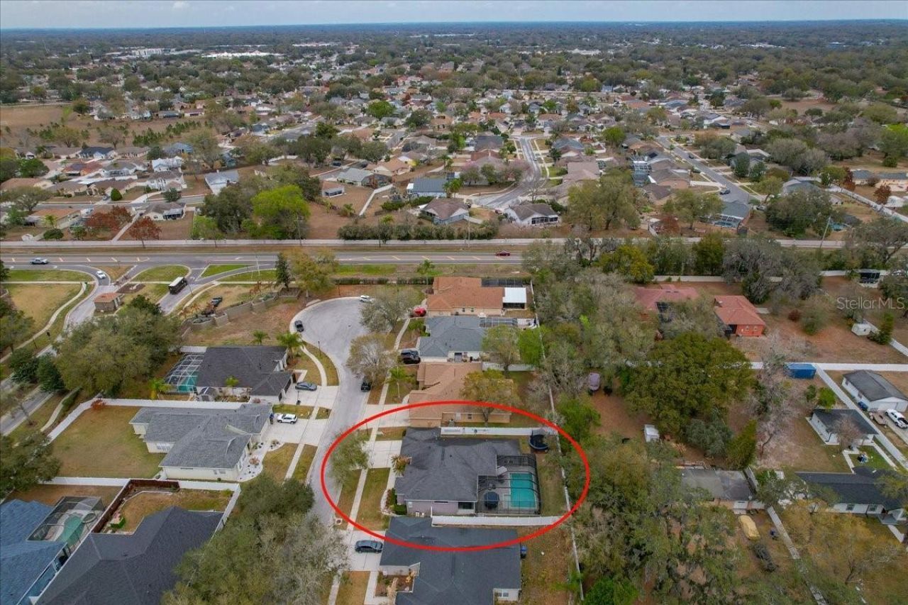 1007 Split Silk Street, Valrico, FL 33594 Photo