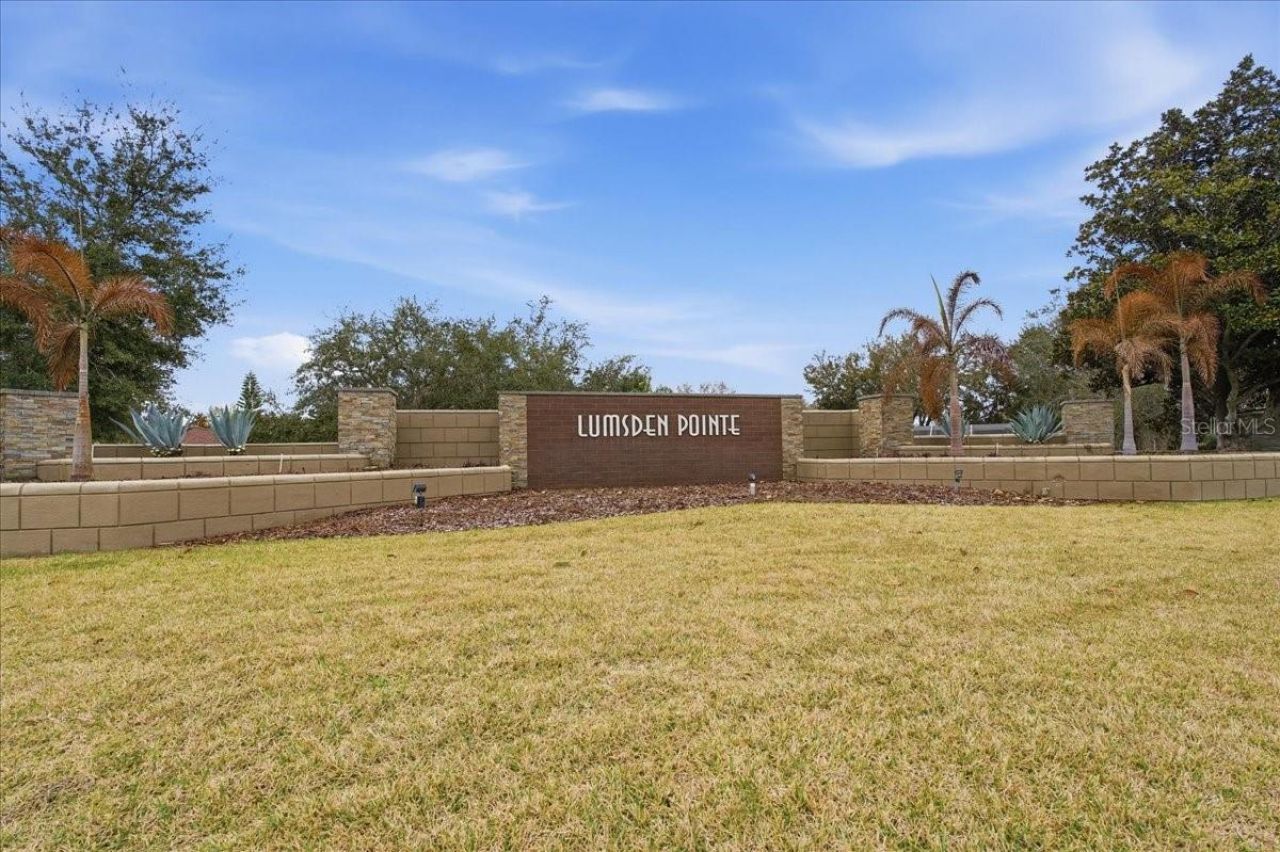 1007 Split Silk Street, Valrico, FL 33594 Photo