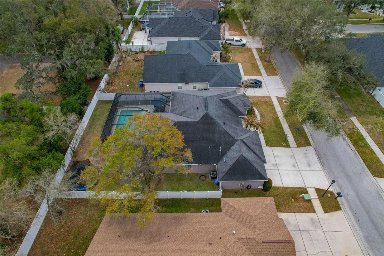 1007 Split Silk Street, Valrico, FL 33594 Photo