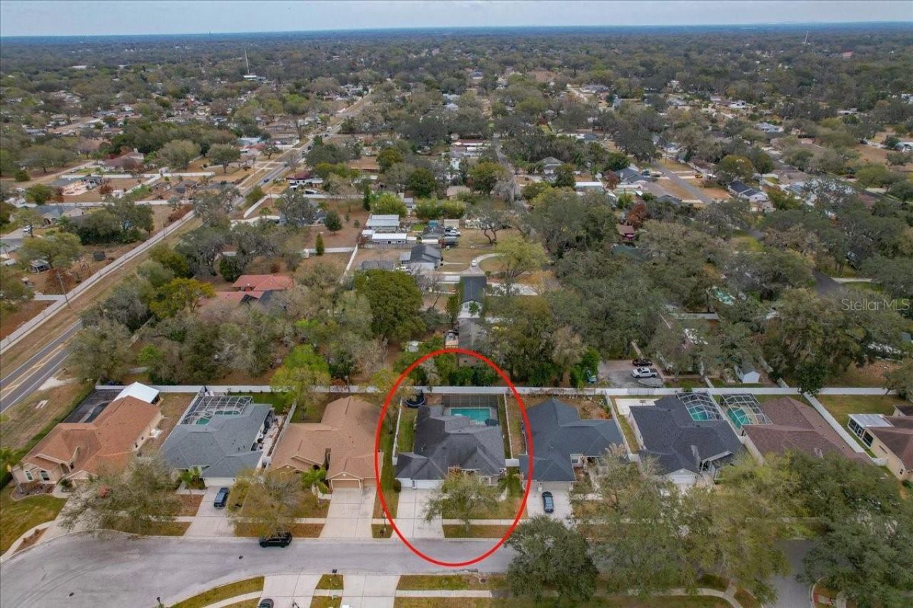 1007 Split Silk Street, Valrico, FL 33594 Photo