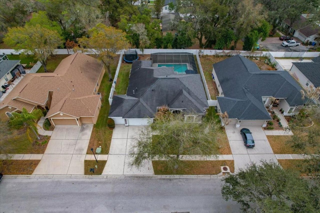 1007 Split Silk Street, Valrico, FL 33594 Photo