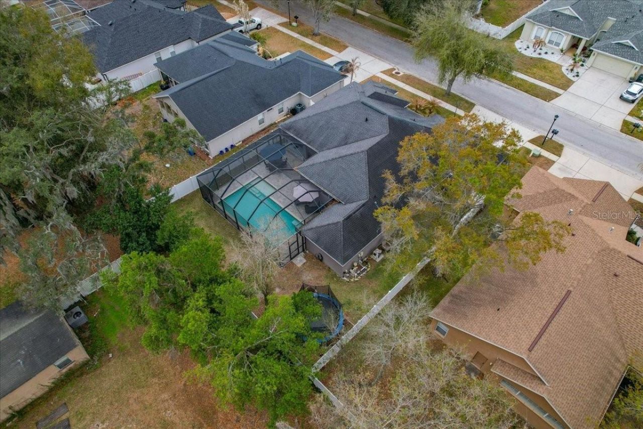 1007 Split Silk Street, Valrico, FL 33594 Photo