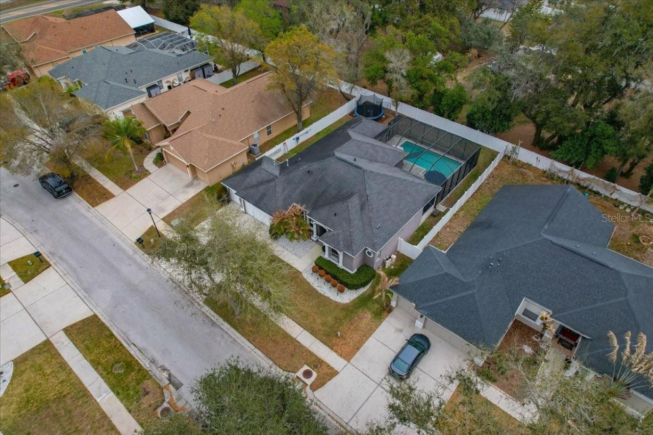 1007 Split Silk Street, Valrico, FL 33594 Photo