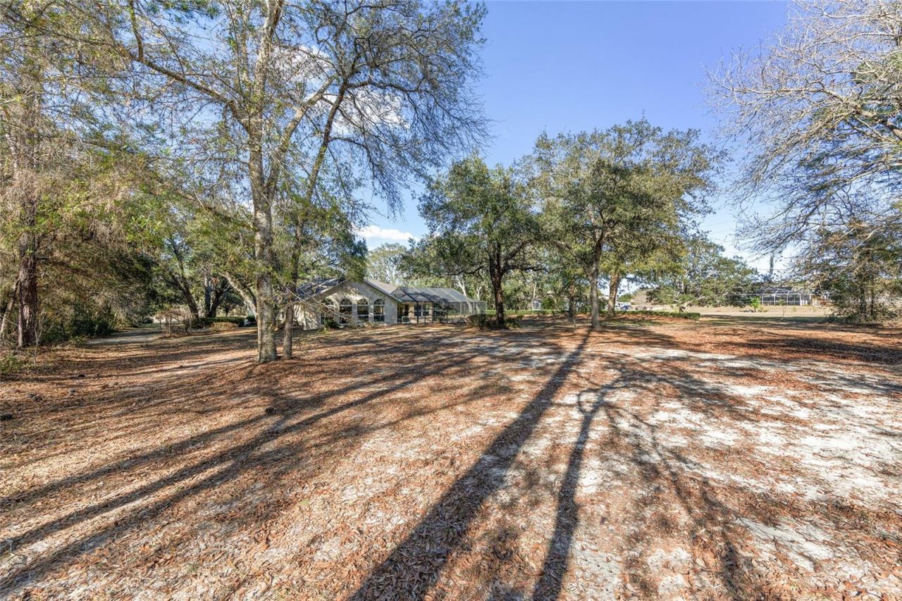 898 E Liberty Street, Hernando, FL 34442 Photo