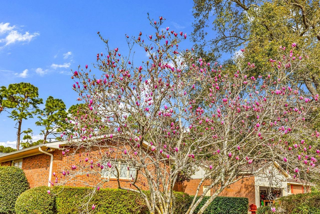 98 Forest Loop Photo 26