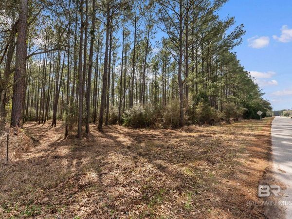 Lot #1 Bermuda Lane, Seminole, AL 36574