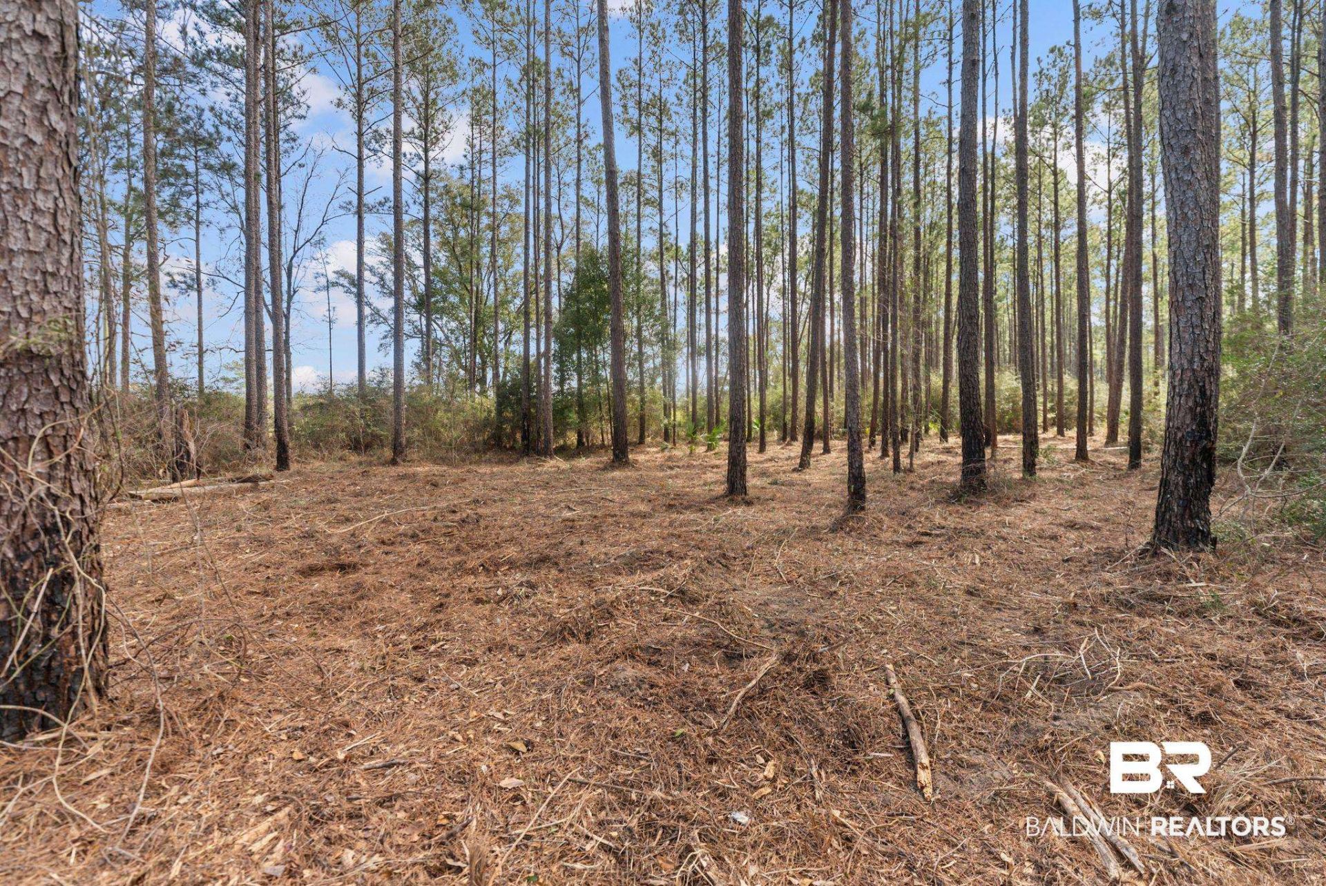 Lot #10 Bermuda Lane, Seminole, AL 36574 Main Photo