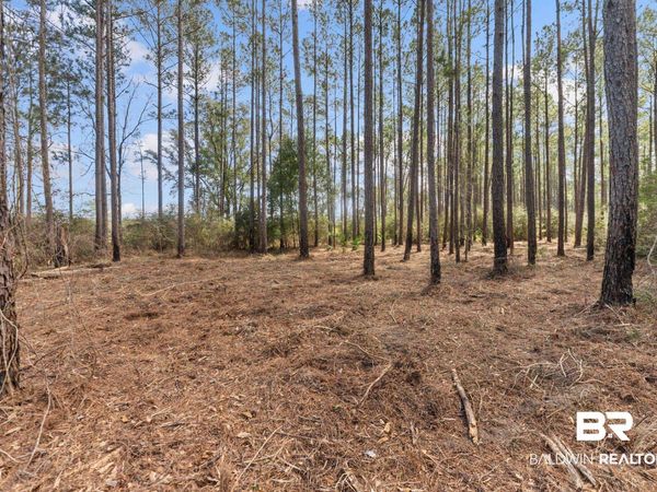 Lot #10 Bermuda Lane, Seminole, AL 36574