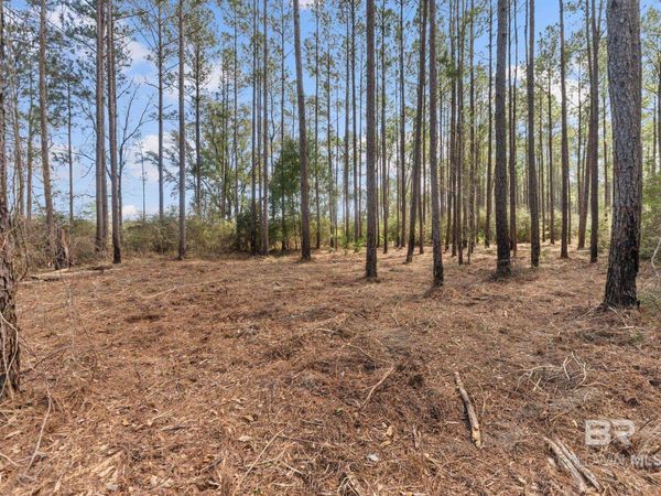 Lot #10 Bermuda Lane, Seminole, AL 36574