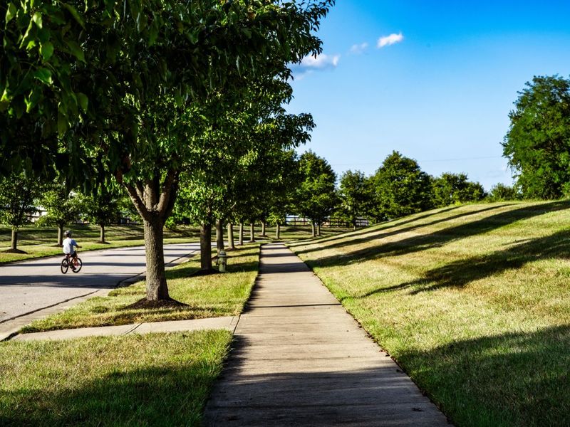 6089 Fallen Tree Lane, Burlington, KY 41005 Photo 4