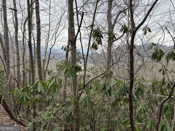 0 Colchester Lane, Mountain City, GA 30525