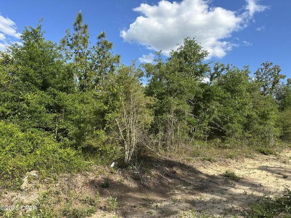 0000 NW Lakeside Avenue , Unit Lot 16 & 1, Altha, FL 32421