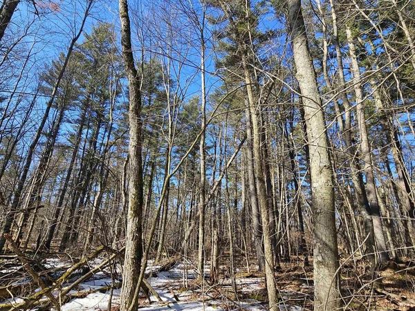 W2319 MEDICINE HAT TRAIL, Keshena, WI 54135