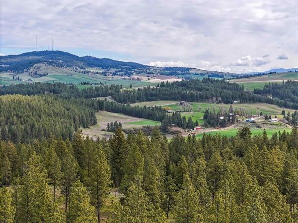 22XX Miller Rd, Spangle, WA 99031