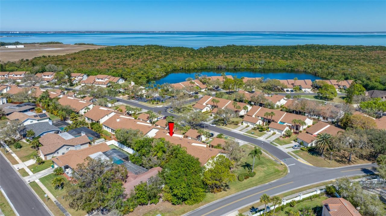 14778 Feather Cove Road, Clearwater, FL 33762 Photo