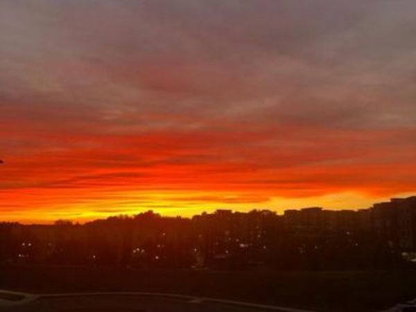 3422 ANGELICA WAY, Unit 204, FREDERICK, MD 21704