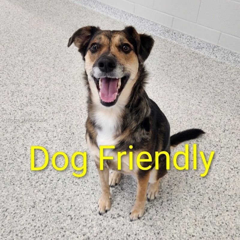 2630 SW 28th St (overbrook), Unit 51, Miami, FL 33133 Photo