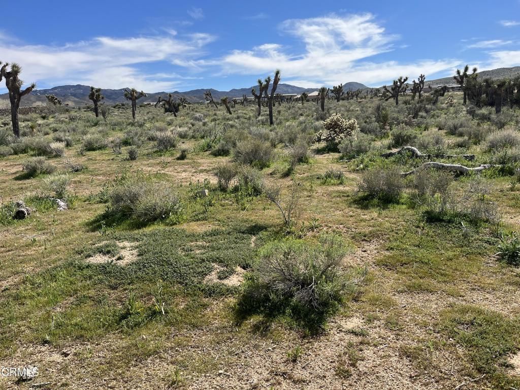 0 Bowen Ranch Road, Apple Valley, CA 92308 Main Photo