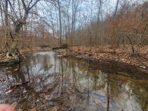 10 Blowing Springs Rd , Lawrenceburg, TN 38464