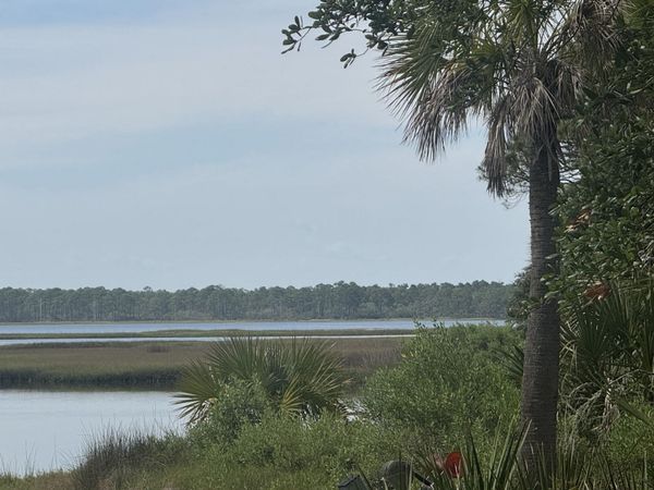 1272 Angus Morrison Road, Alligator Point, FL 32346