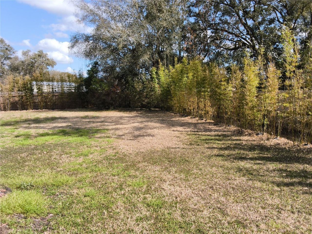 551 NE 61st Terrace, Ocala, FL 34470 Photo