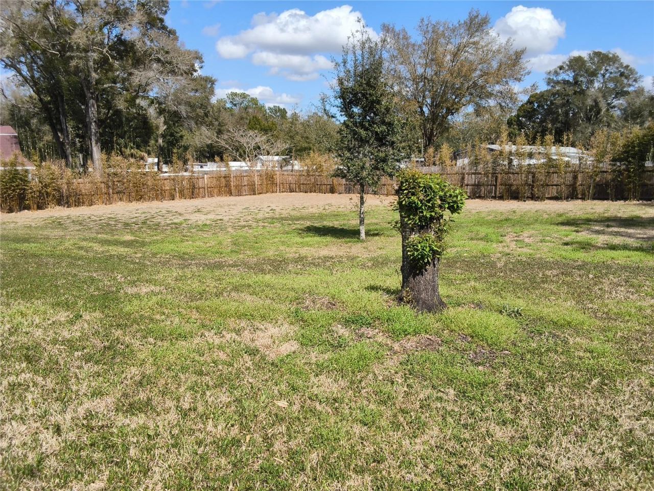 551 NE 61st Terrace, Ocala, FL 34470 Photo