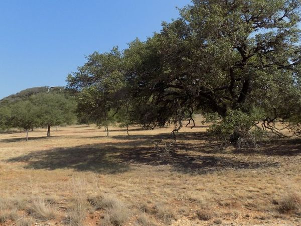TBD Hills Of Bandera, Bandera, TX 78003