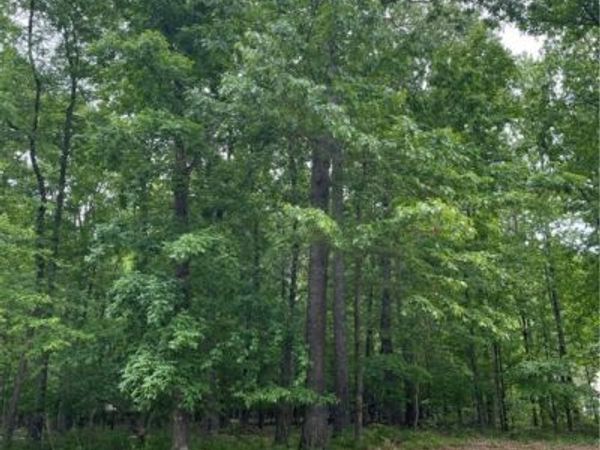 00 High Bank Place , Powhatan, VA 23139