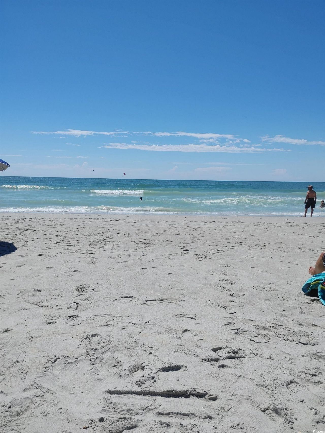 252 Red Maple Loop Photo 45