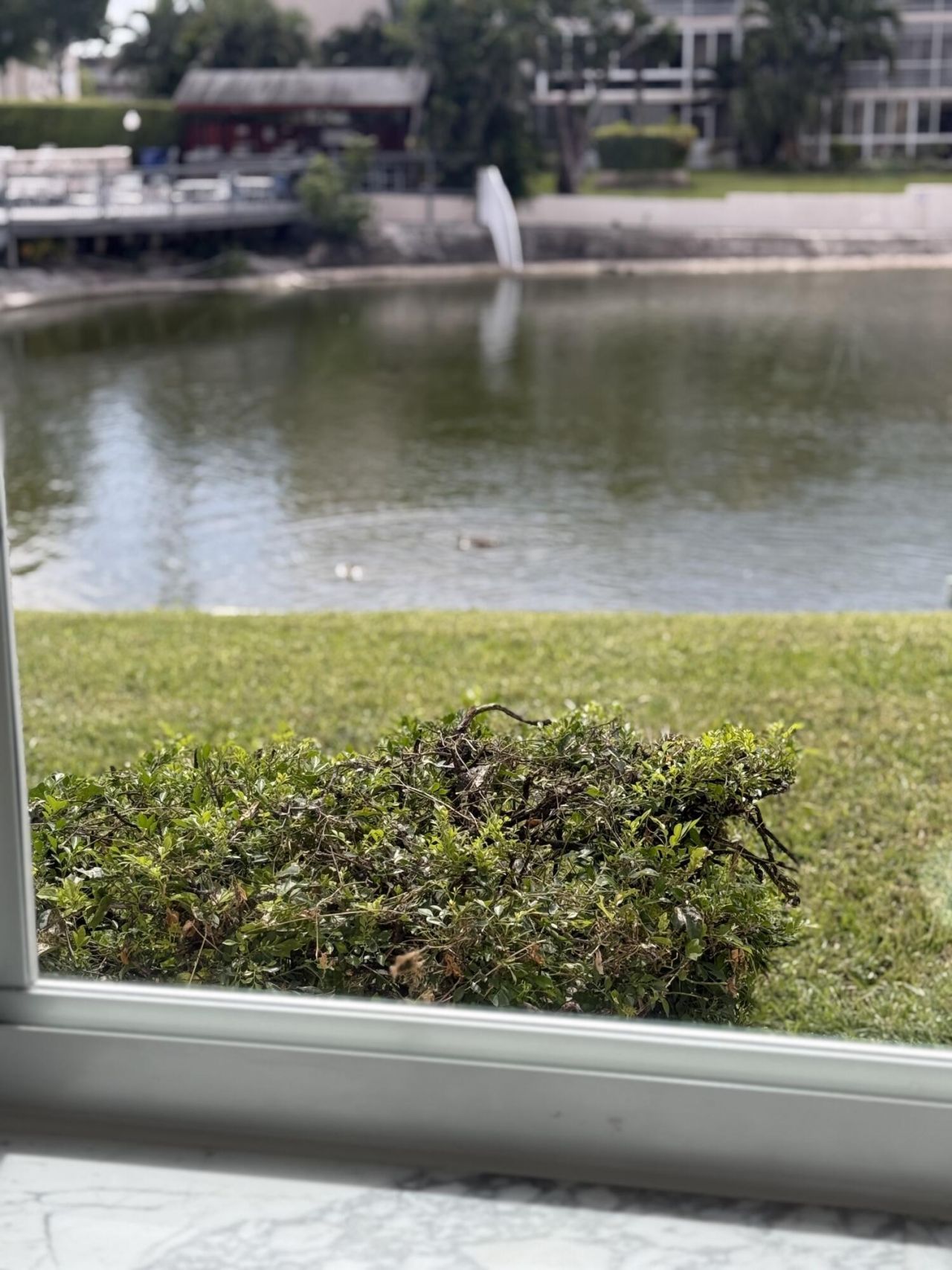 2616 N Gardens Drive, Unit 105, Lake Worth, FL 33461 Photo