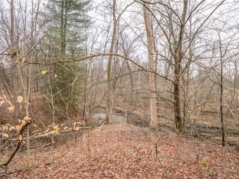 23095 Foster Road , Wellington, OH 44090 Photo 38