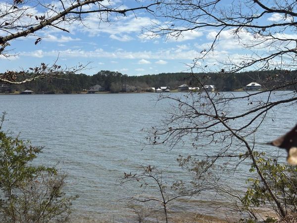 52 Anne's Circle (Lot 49), Lumberton, MS 39455