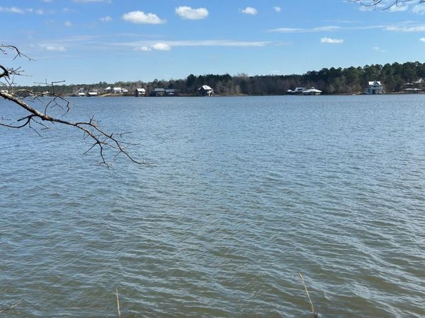 48 Anne's Circle (Lot #48), Lumberton, MS 39455