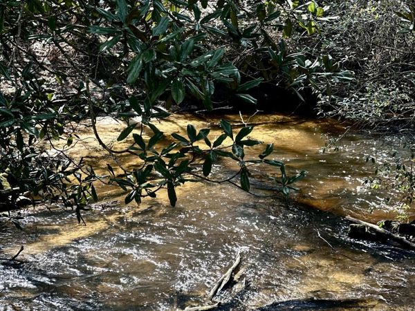 31 Howard Smith, Lumberton, MS 39455