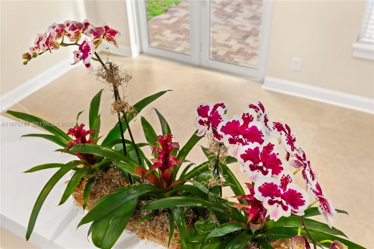 140 Santander Ave, Coral Gables, FL 33134 Photo