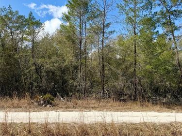 TBD NE 110TH COURT , FORT MC COY, FL 32134