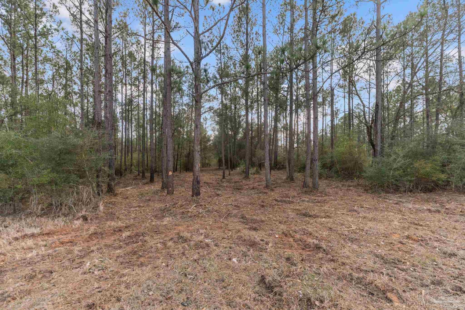 Lot #10 Bermuda Ln, Seminole, AL 36574 Main Photo