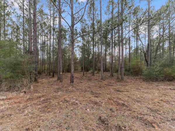 Lot #10 Bermuda Ln, Seminole, AL 36574