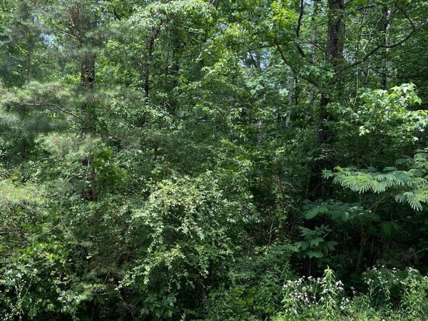 7511 Rocky Ledge Road, Hixson, TN 37343