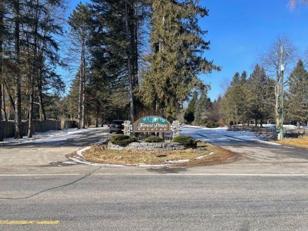 9086 Forest Pines Drive, Mecosta, MI 49332