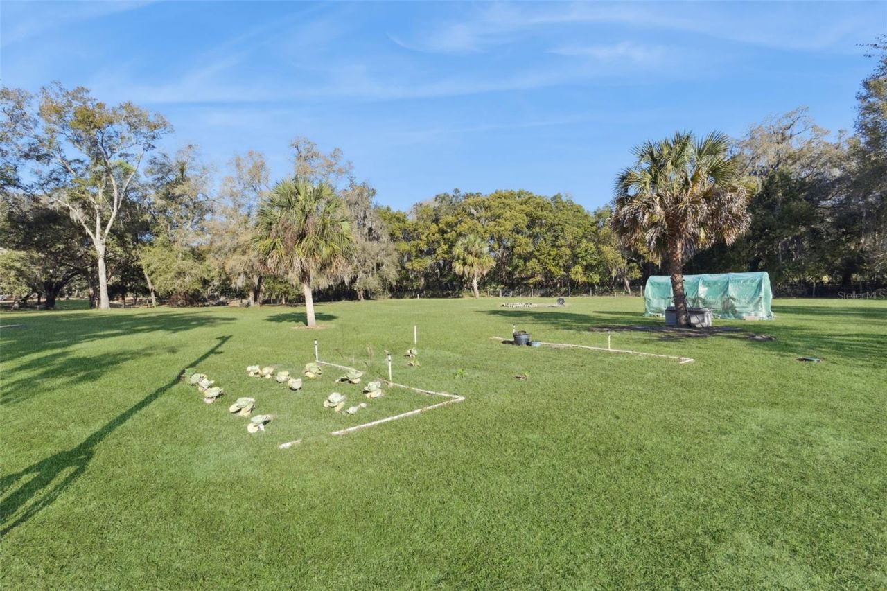 43411 State Road 19, Altoona, FL 32702 Photo