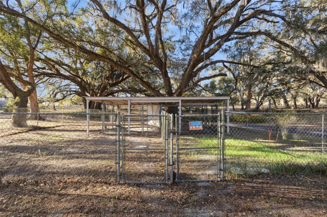 43411 State Road 19, Altoona, FL 32702 Photo