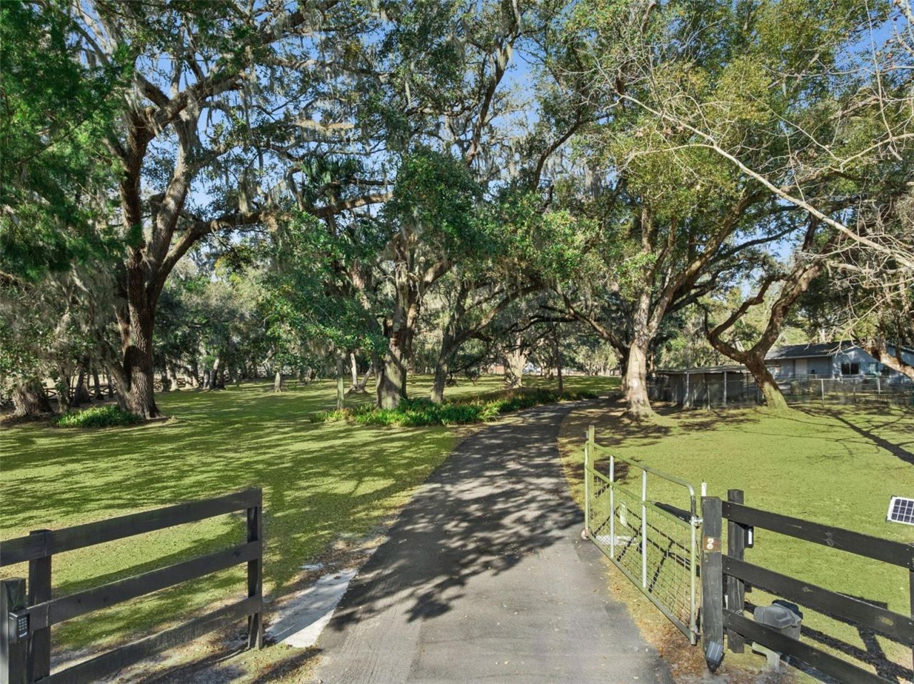 43411 State Road 19, Altoona, FL 32702 Photo