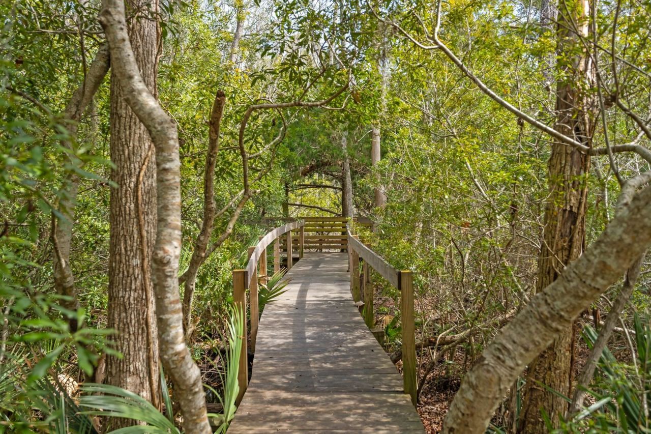 231 Watson Way Photo 32