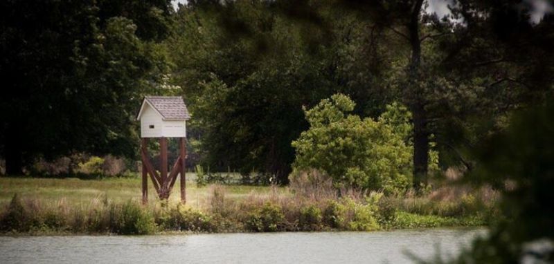 1050 Red Turnstone Run Photo 21