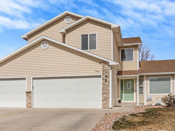 203 Elderberry Drive, Fruita, CO 81521