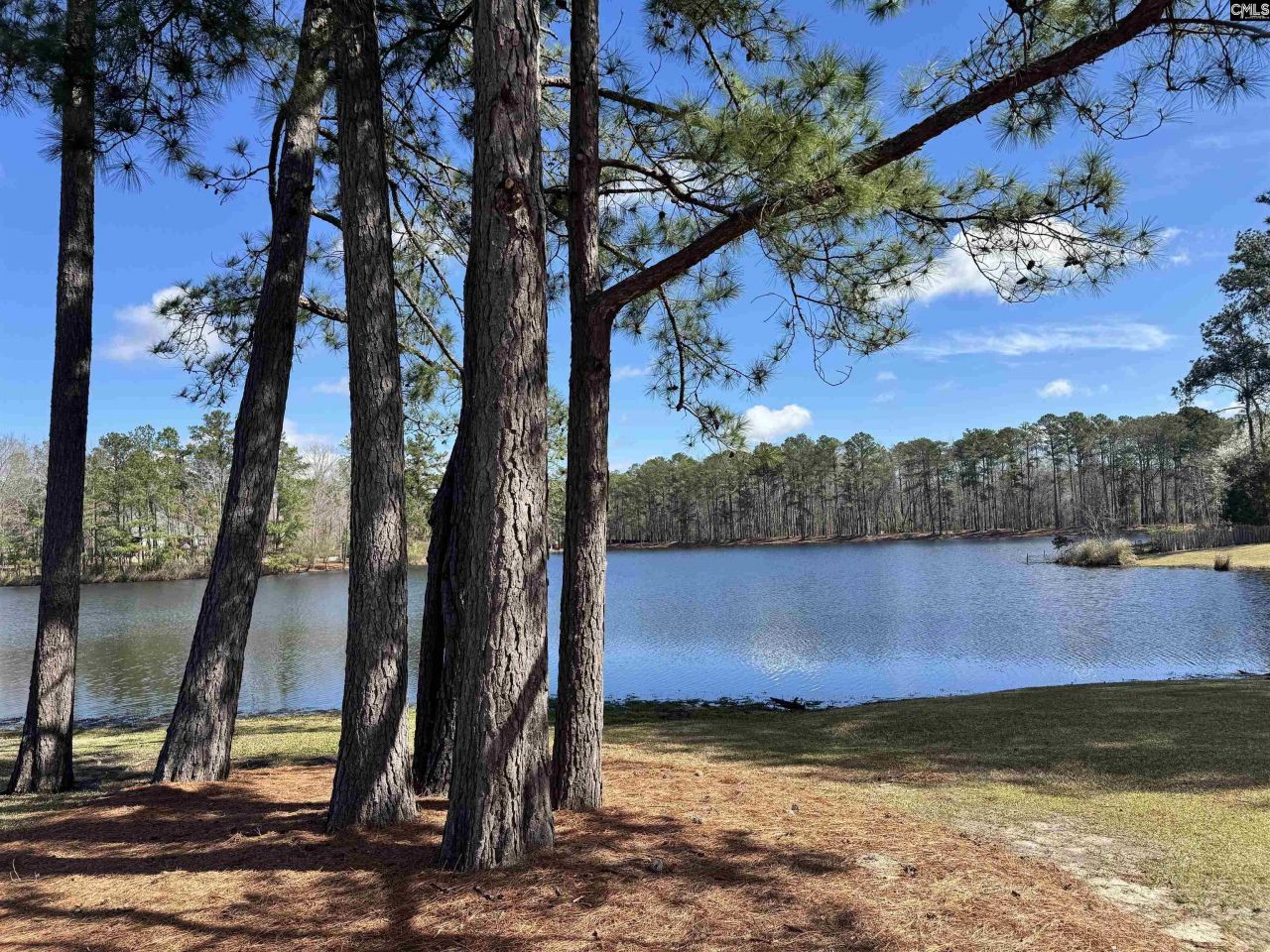 556 Corkscrew Lane Photo 34