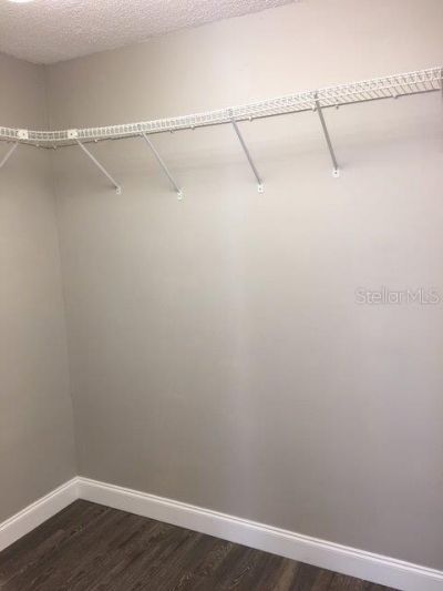 7919 Goldleaf Street , Orlando, FL 32835 Photo