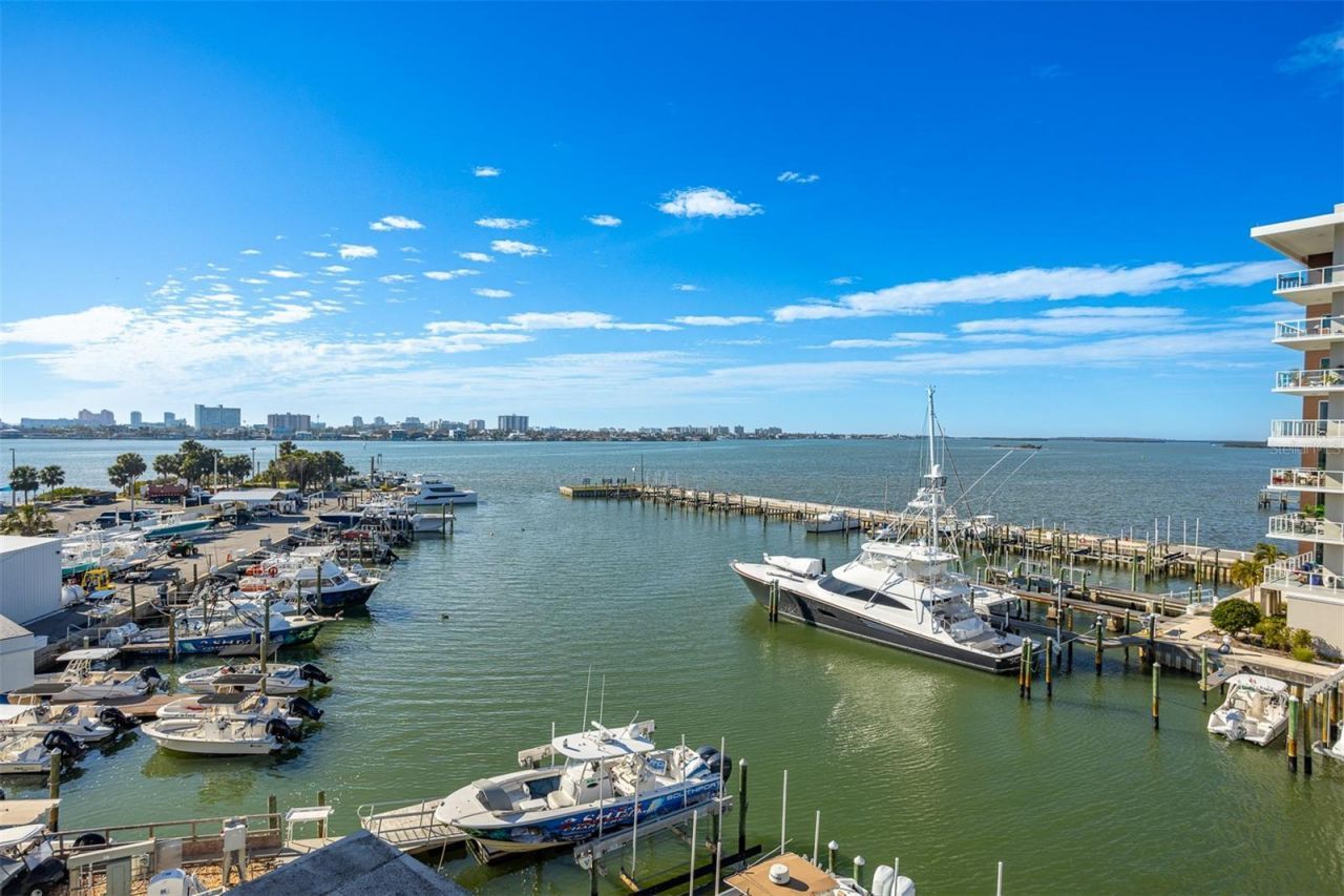 870 N Osceola Avenue, Clearwater, FL 33755 Photo