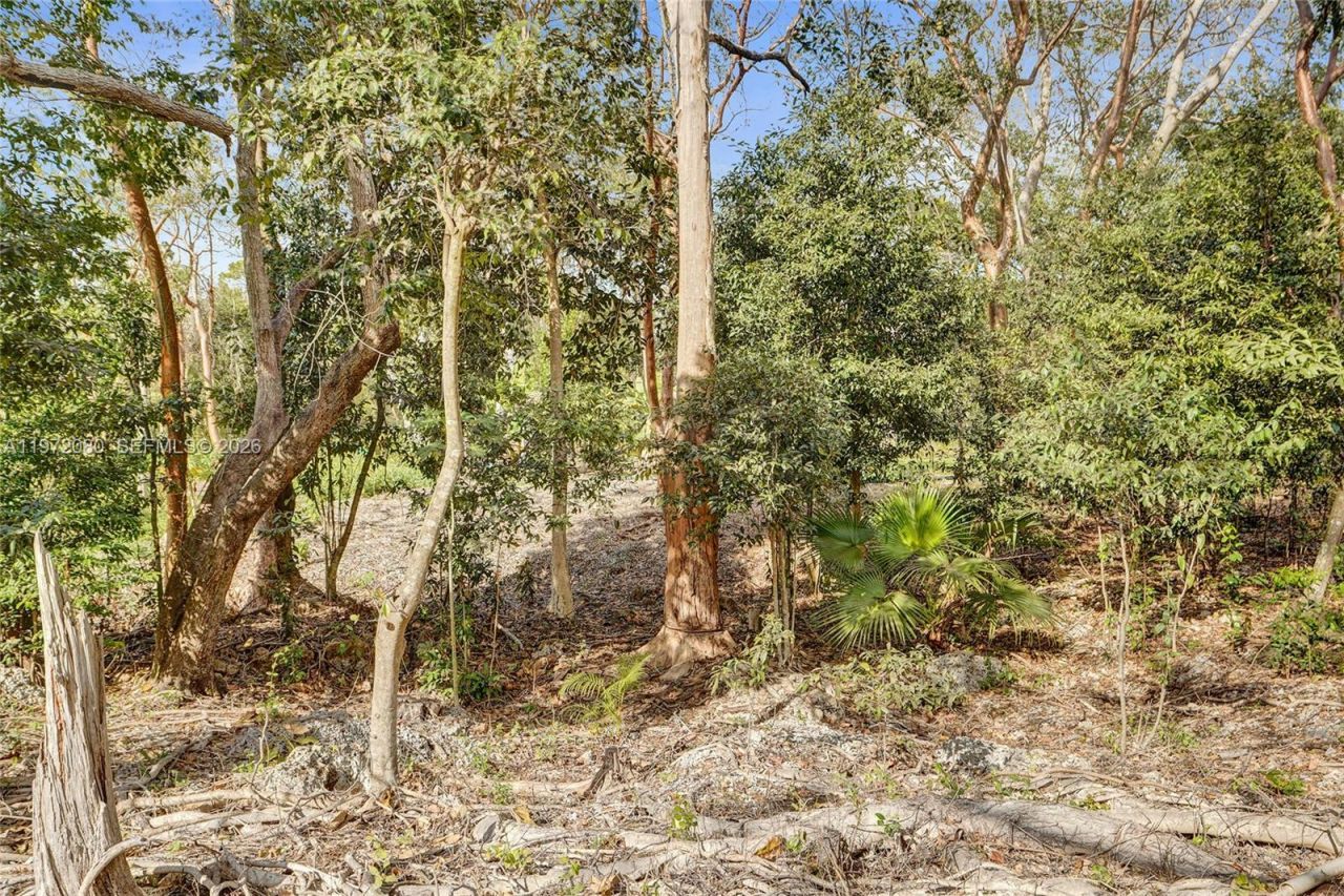 17150 SW 264th St , Miami, FL 33031 Photo